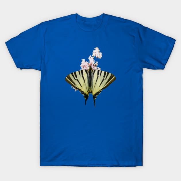 Swallowtail On Wild Garlic Flowers Cut Out T-Shirt by taiche